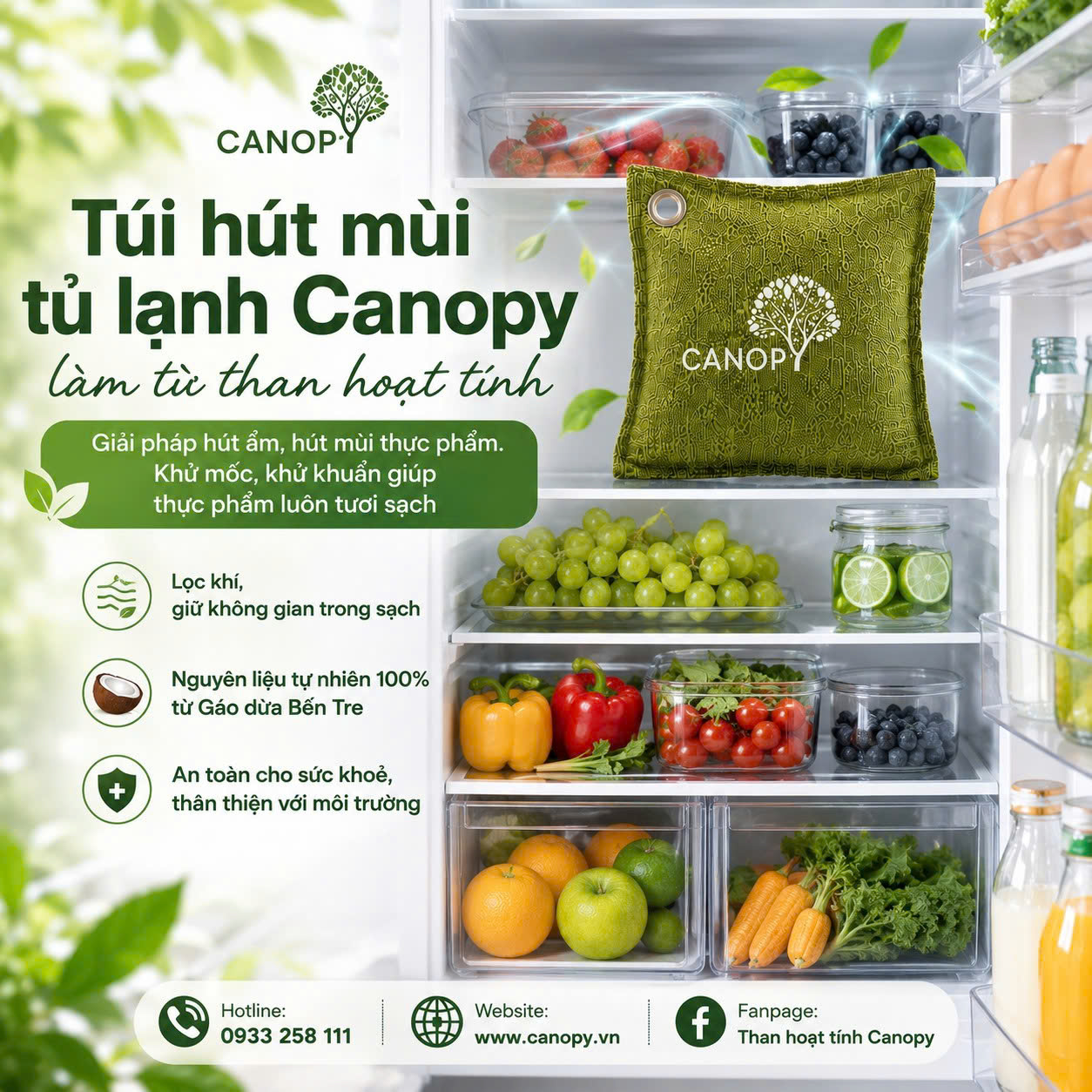 Canopy 3
